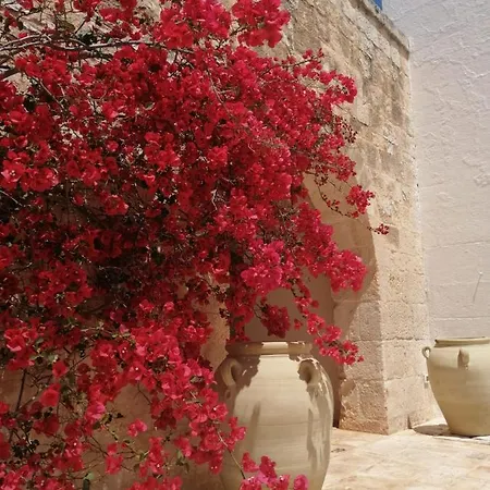 Farm stay Masserie Maresca Ostuni